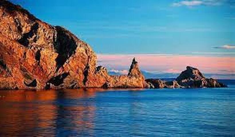 Halekulani Devon Homestay Torquay Bagian luar foto