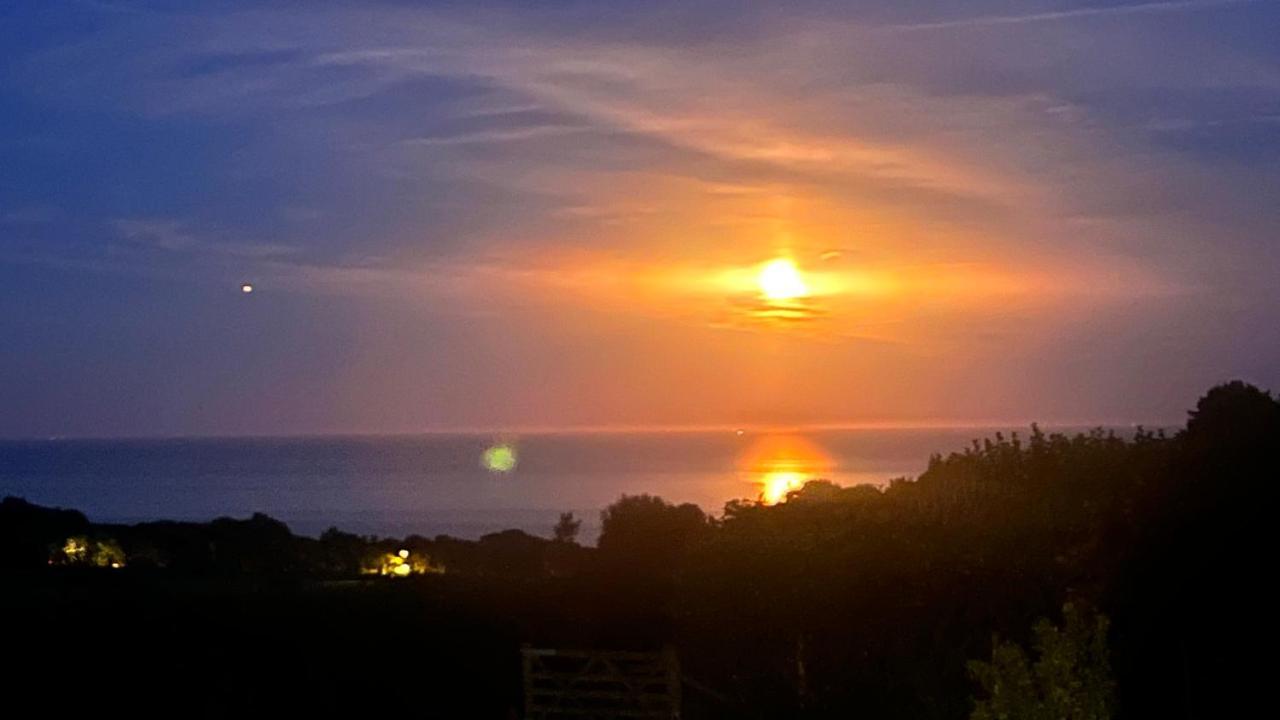 Halekulani Devon Homestay Torquay Bagian luar foto